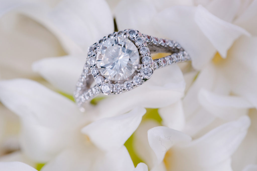 Engagement (5 of 17)