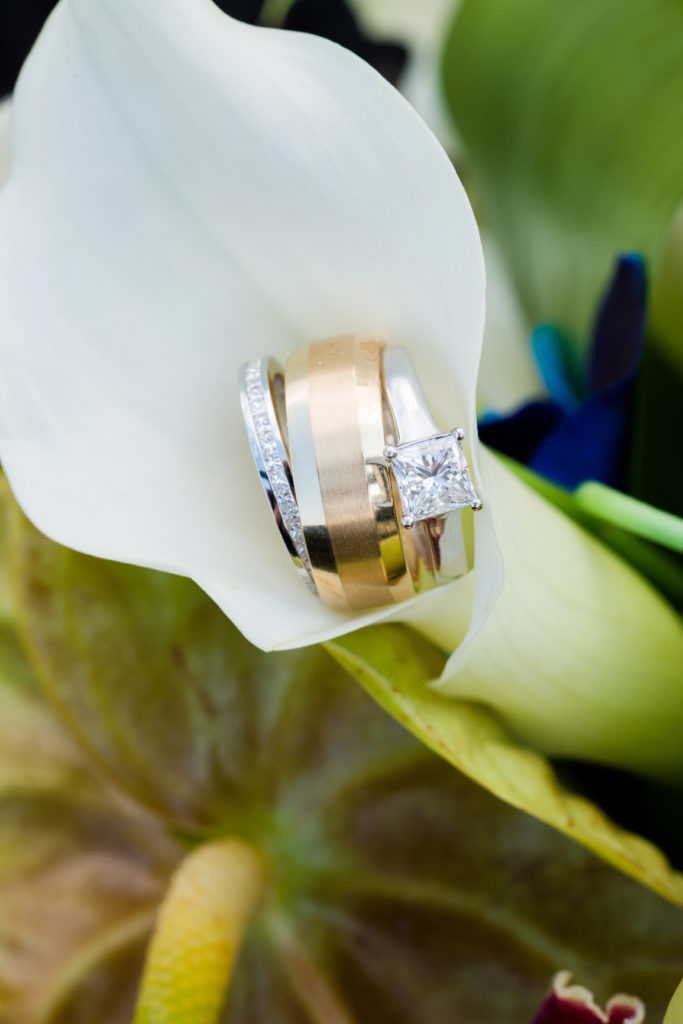 highlights (20 of 23)