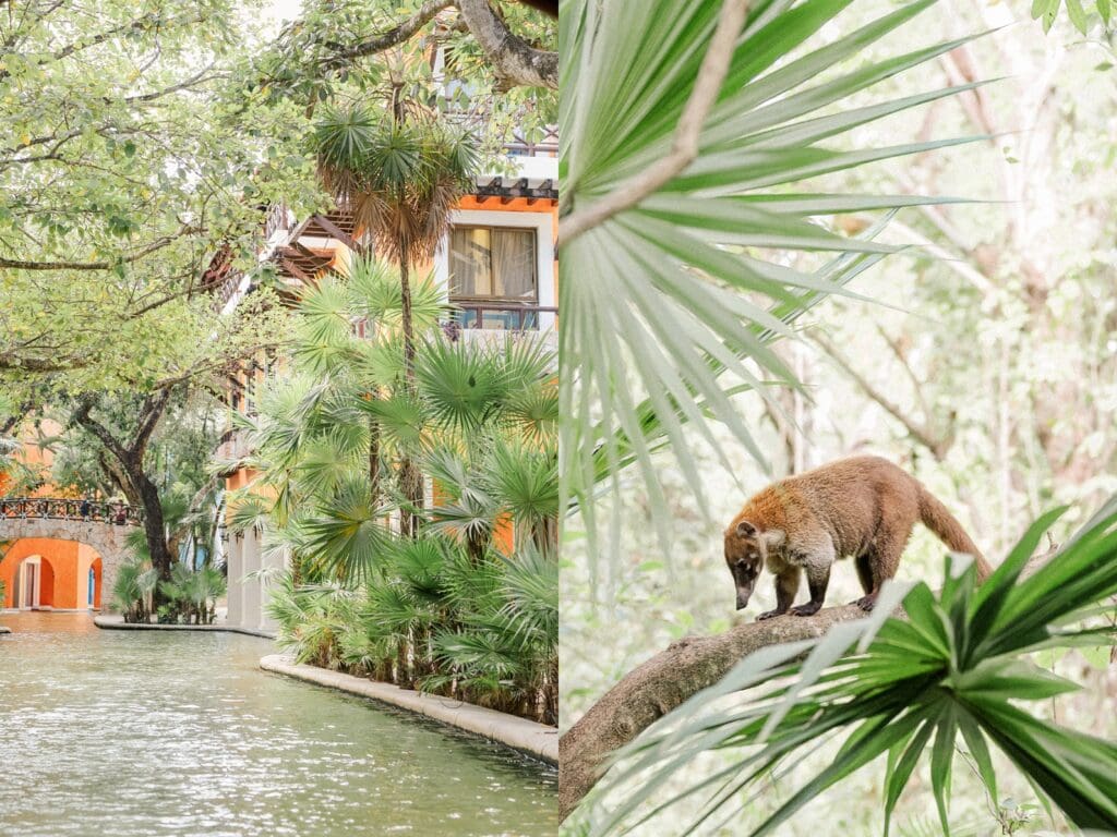 Tropical river pathways and colorful resort architecture at Hotel Xcaret Mexico in the Riviera Maya near Playa del Carmen, a popular destination wedding location.